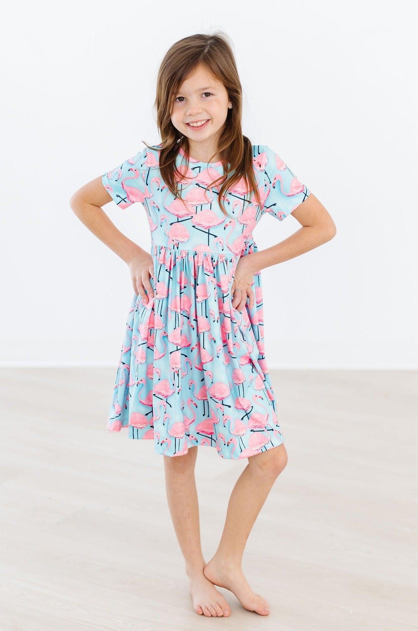 Mila & Rose:  Pretty in Pink Flamingos S/S Pocket Twirl Dress