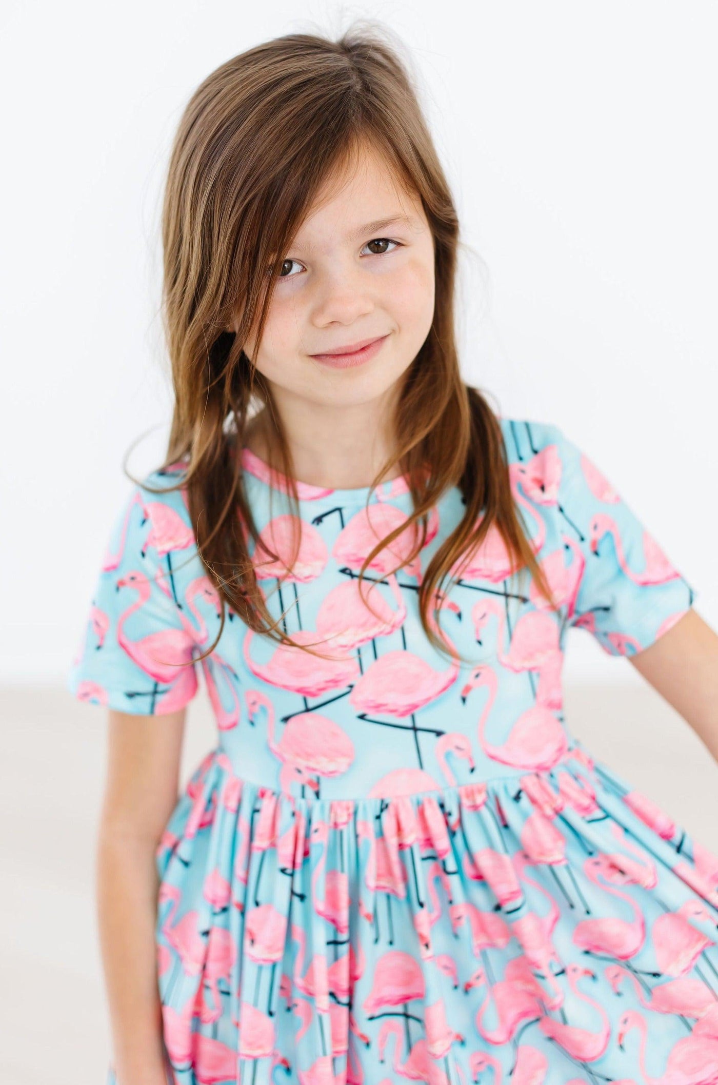 Mila & Rose:  Pretty in Pink Flamingos S/S Pocket Twirl Dress