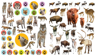 Eyelike Stickers: Wild Animals