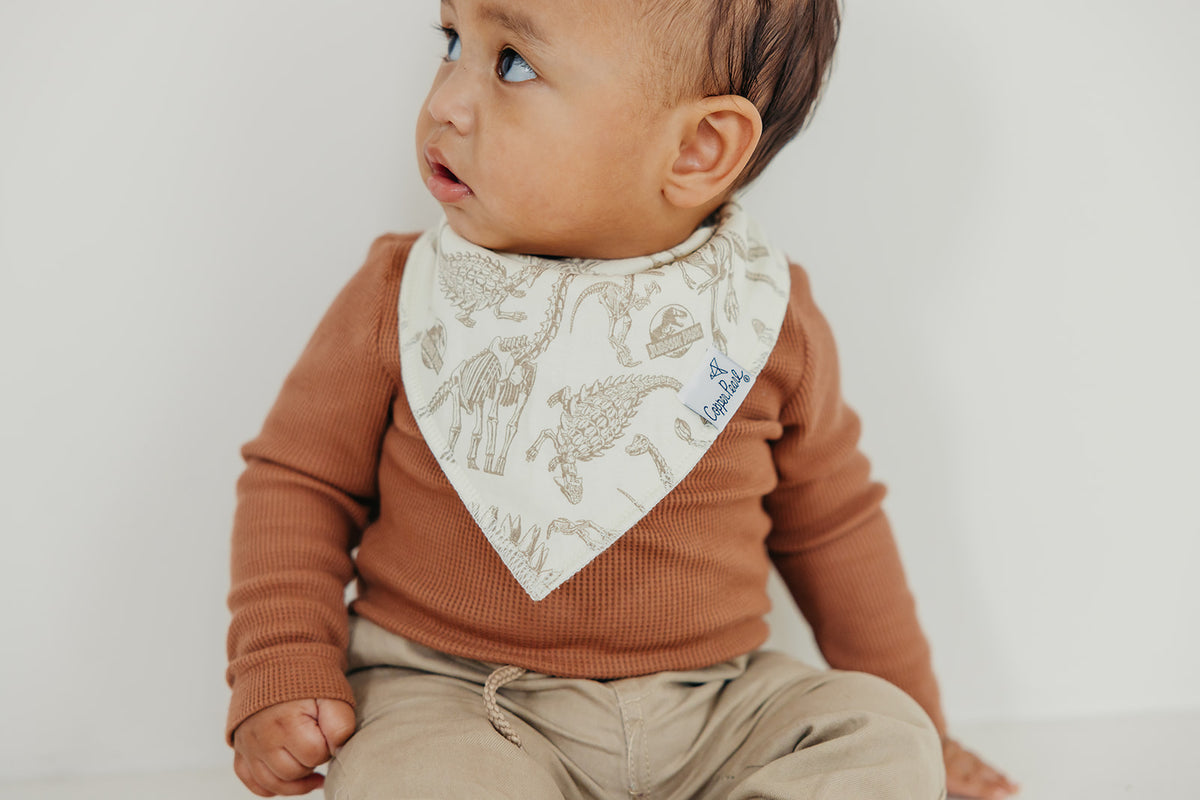 Copper Pearl Bandana Bib Set: Jurassic Park