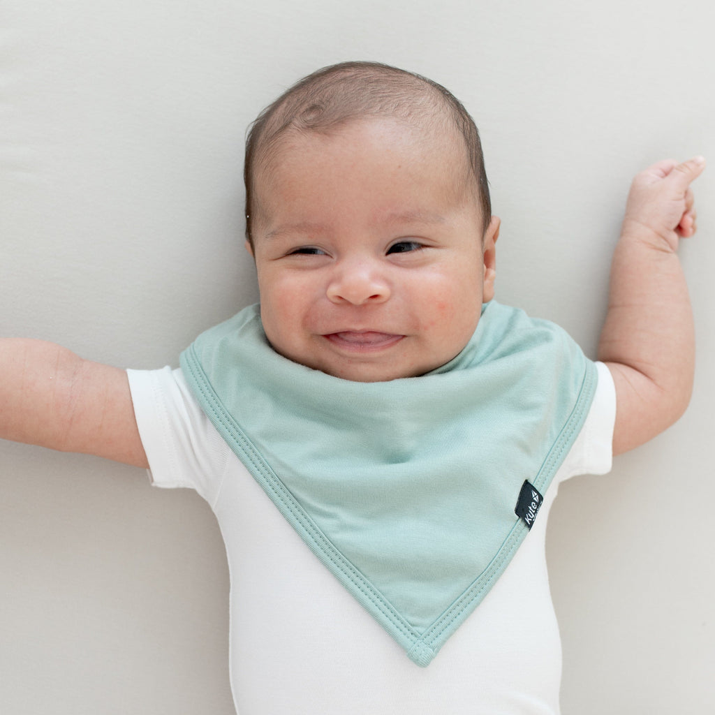 Kyte Baby Bib: Sage