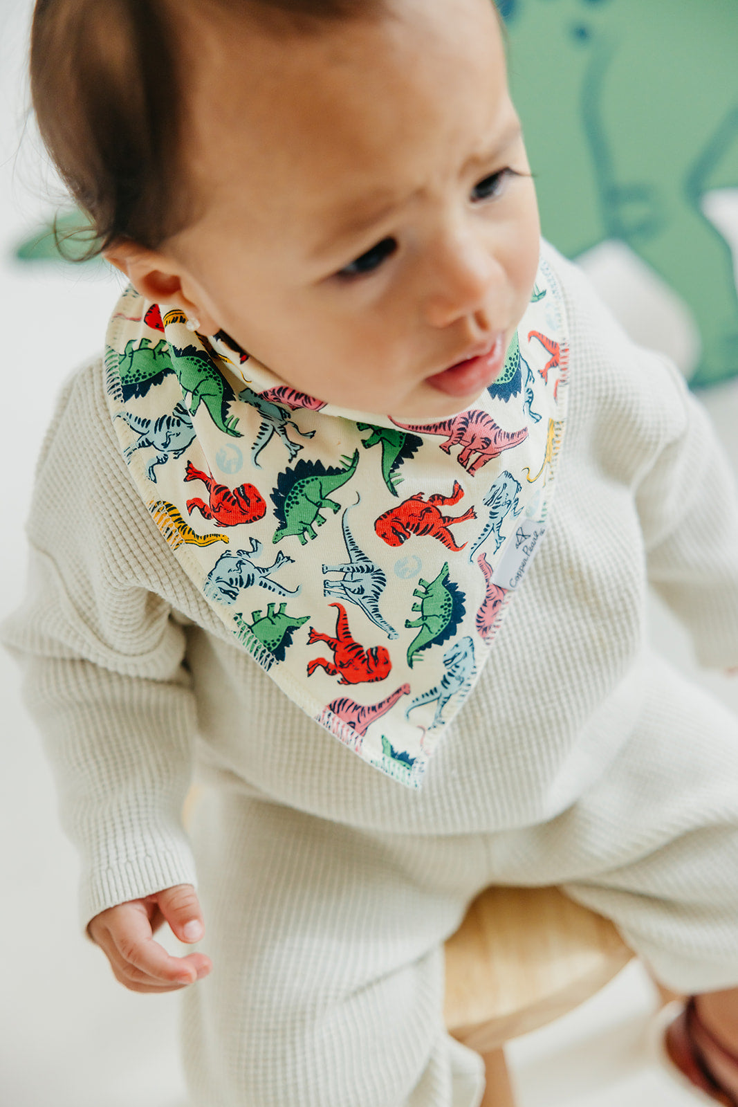 Copper Pearl Bandana Bib Set: Jurassic Park