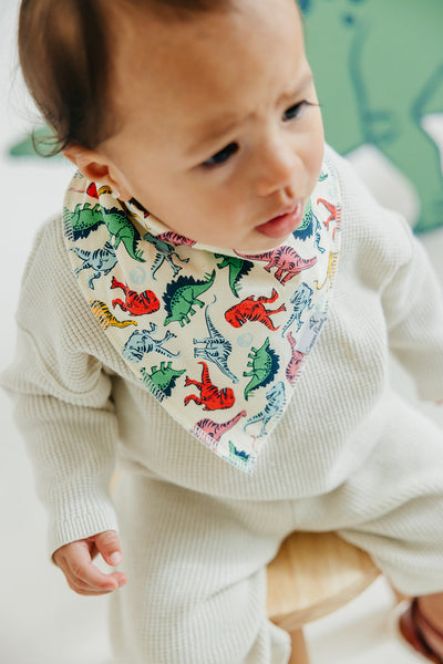 Copper Pearl Bandana Bib Set: Jurassic Park