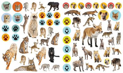 Eyelike Stickers: Wild Animals