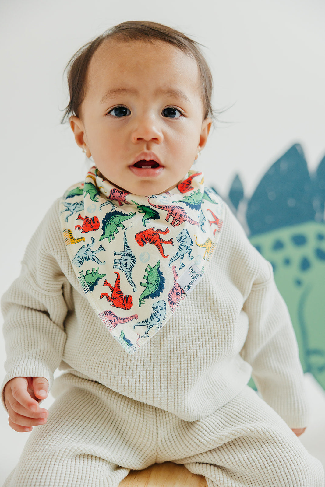 Copper Pearl Bandana Bib Set: Jurassic Park