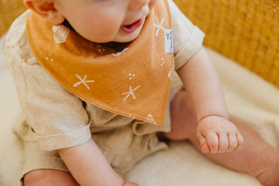 Copper Pearl Bandana Bib Set: Cove