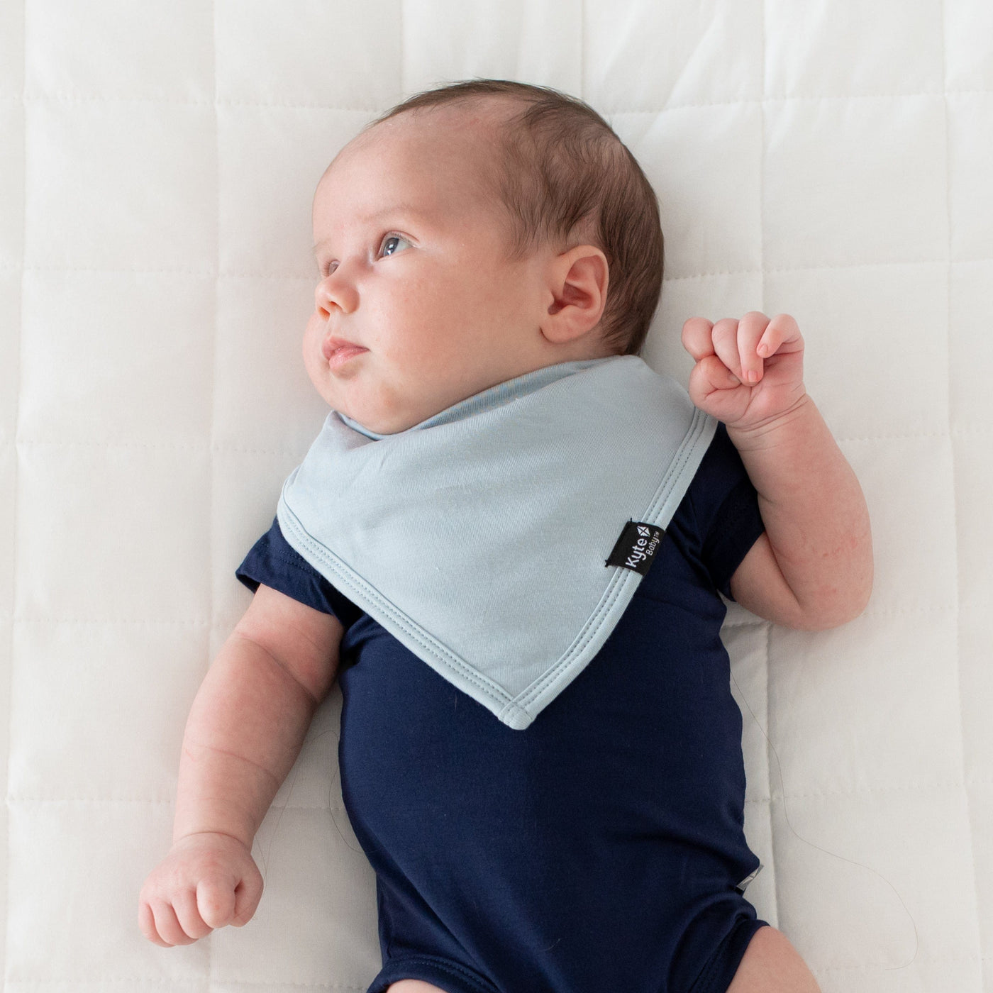 Kyte Baby Bib: Fog